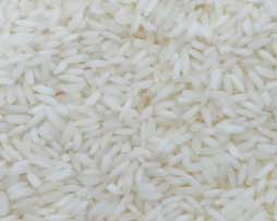 Manufacturers Exporters and Wholesale Suppliers of Swerna Rice Nagpur Maharashtra